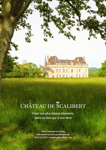 Château dans le fond de l'image et grand jardin en avant d'image avec un arbre