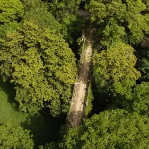 Chemin Château de Scalibert