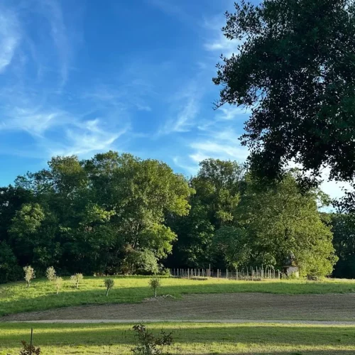 Paysage Château de Scalibert