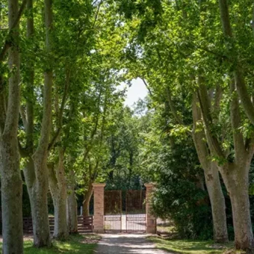 Sortie du Château de Scalibertjpg